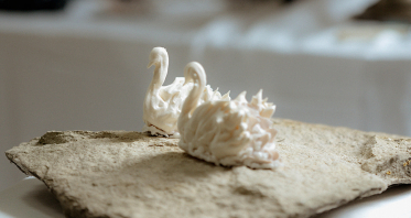 Cakes & Catering Clare Ellen Studio