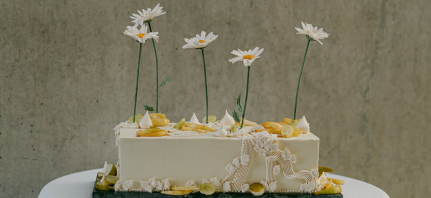 Cakes & Catering Clare Ellen Studio