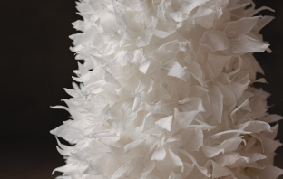 Cakes & Catering Clare Ellen Studio