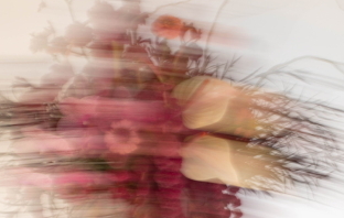 Florists The Mad Florist