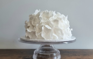 Cakes & Catering Clare Ellen Studio