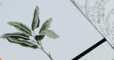 Planners Orange Blossom Special Events