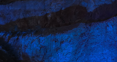 Planners GIGI & ROSES