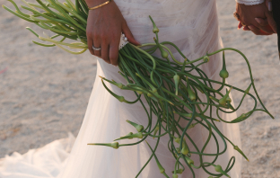 Planners GIGI & ROSES