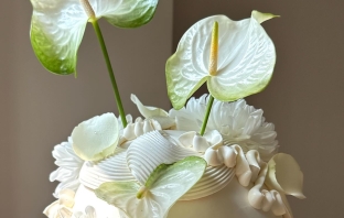 Cakes & Catering María Amaría