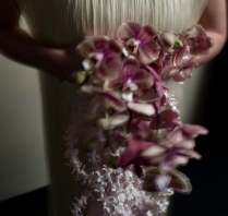 Content Creators Maria Mikhail