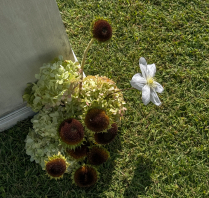 Florists Marta Sandri Studio