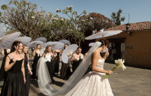 Content Creators Donatello Studio