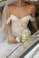 Content Creators Donatello Studio