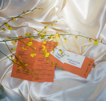 Photographers Lukas Korynta