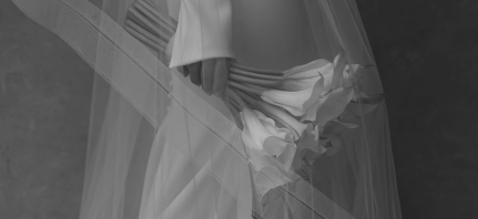 Content Creators Donatello Studio