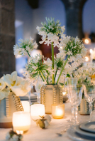 Planners The Lynden Lane Co