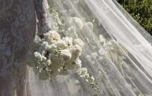 Content Creators Madeline Anne