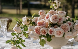 Content Creators Madeline Anne