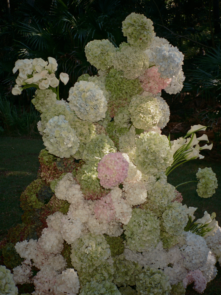 Florists BY.MAG.NOLIA