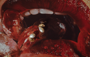 Photographers Luke Bell