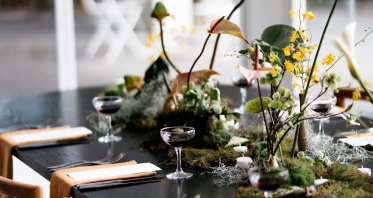 Planners The Coda's Collective