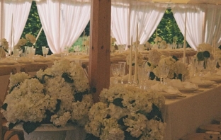 Florists The Petal Project