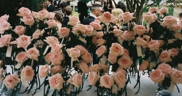 Florists The Petal Project