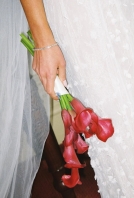 Florists The Petal Project