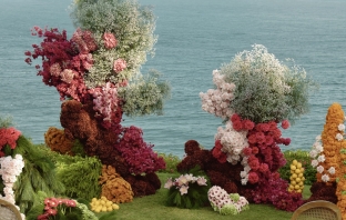 Florists DADA Island