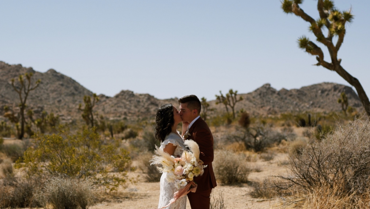 Videographers Gold Hairpin