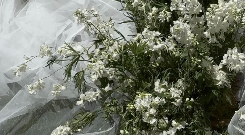 Content Creators By Lucy