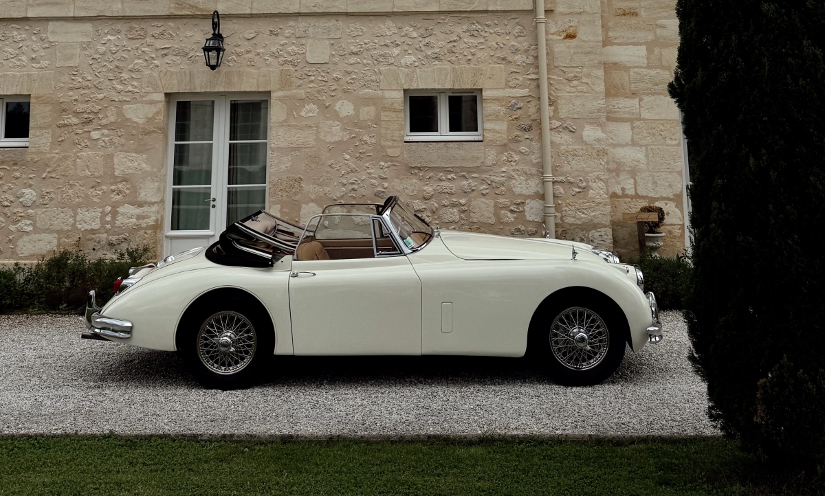 Content Creators Content for Brides