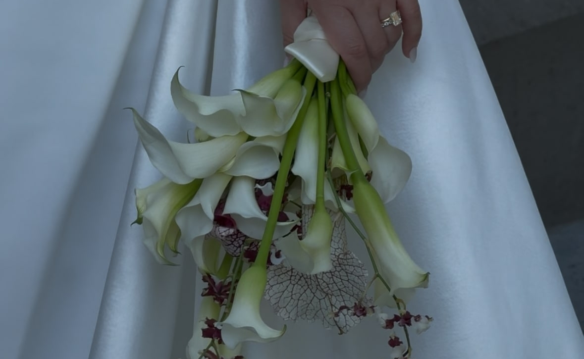 Content Creators Sarah Davoli Studio