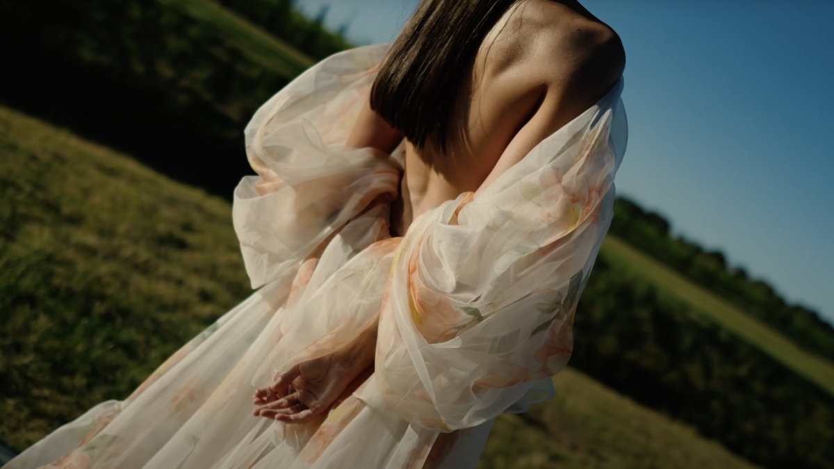 Videographers Ballena Movie