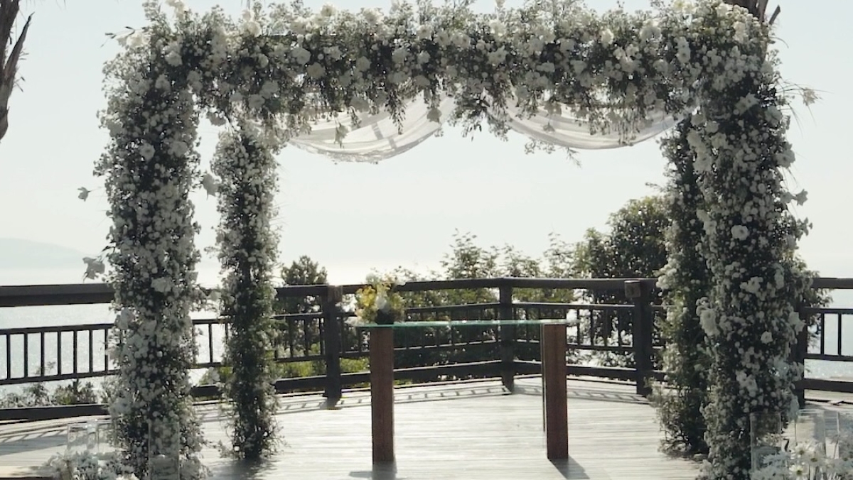 Videographers Ballena Movie