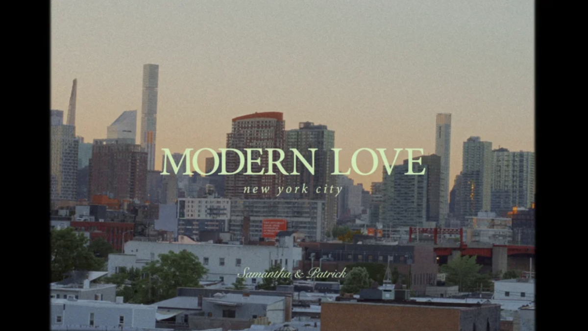 Photographers Love Bears