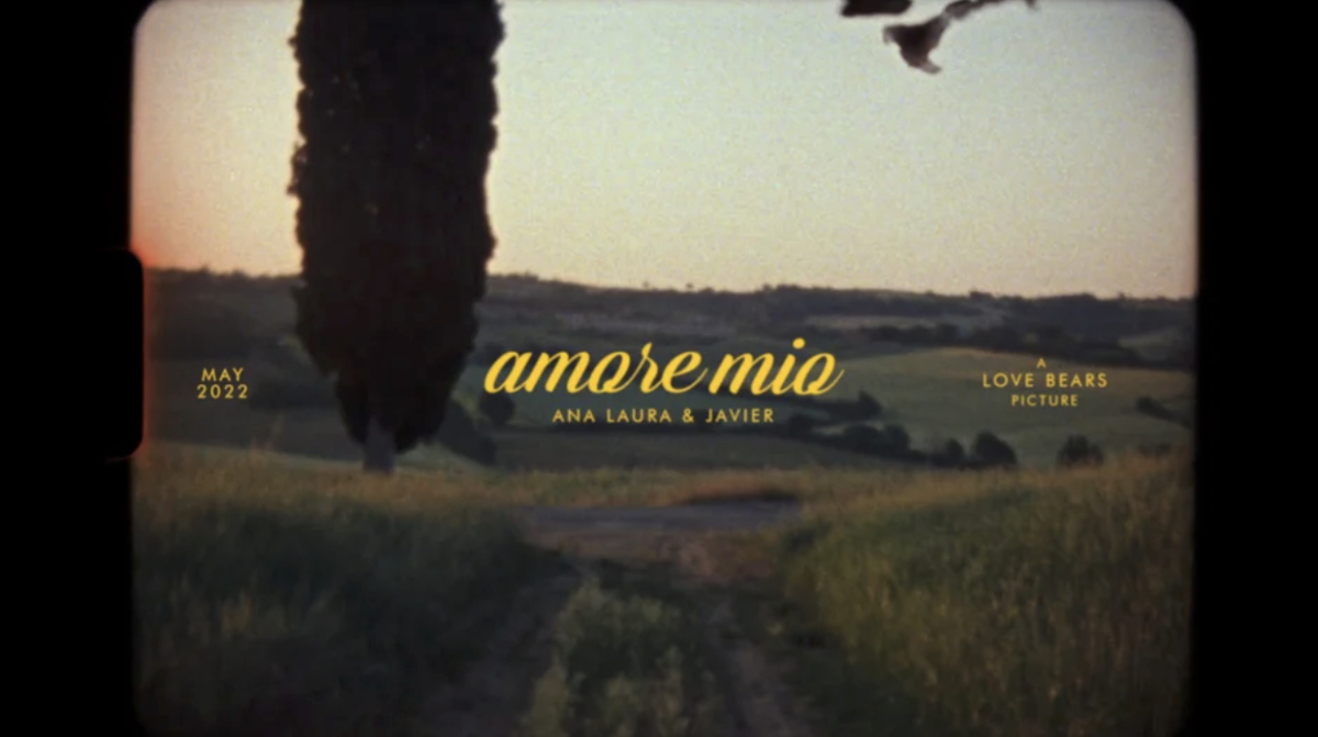 Photographers Love Bears